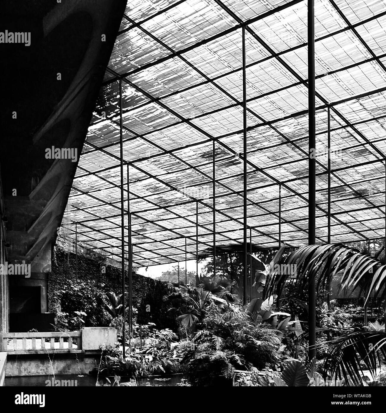 Greenhouse Black and White Stock Photos & Images Alamy