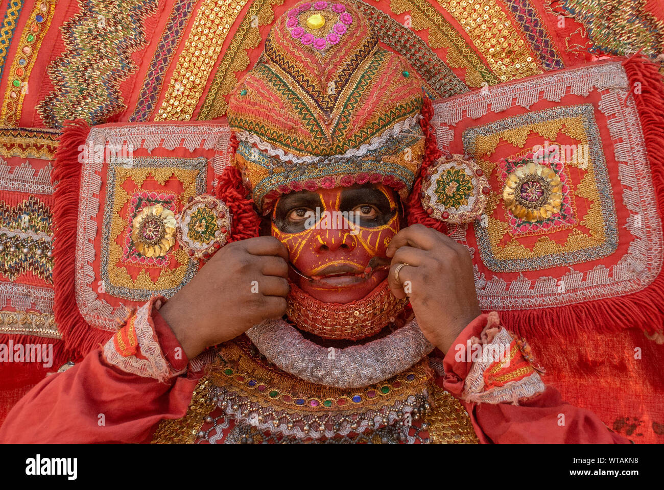 Peacock costume hi-res stock photography and images - Alamy