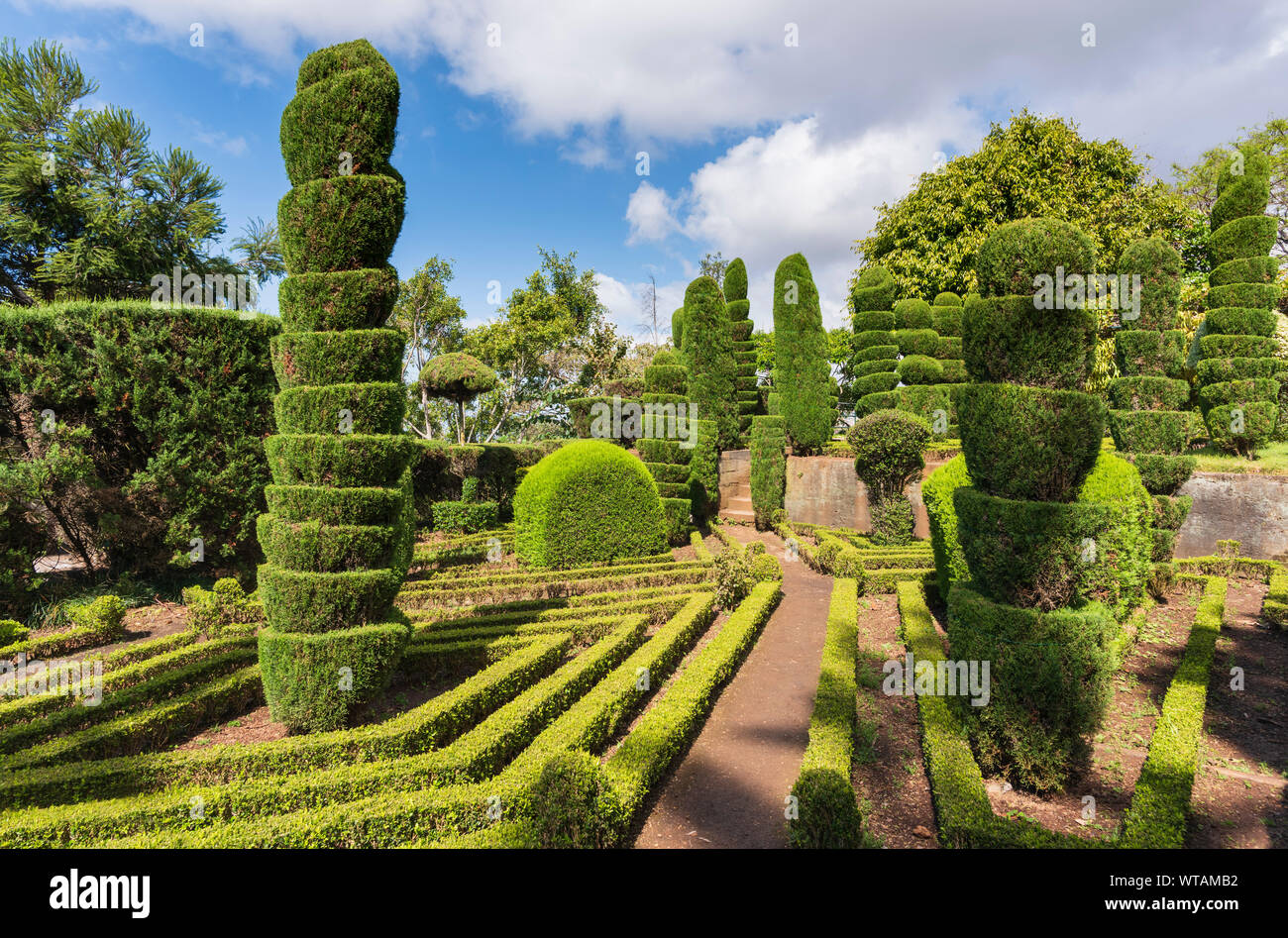 Arboretum  in the Botanical Gardens Jardim Botânico da Madeira  in Funchal. Madeira, Portugal Stock Photo