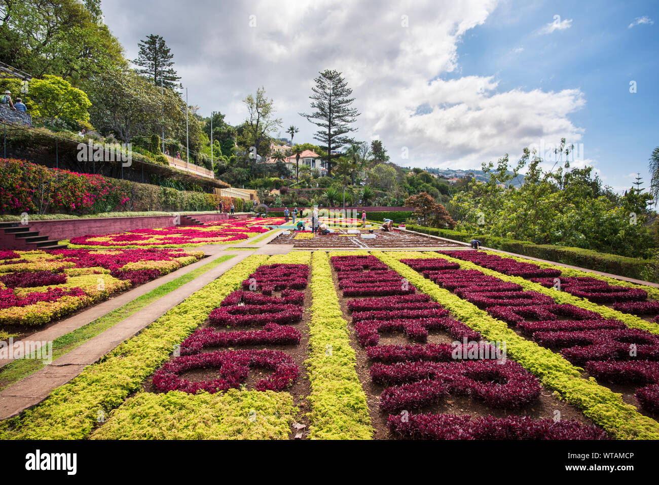 The Botanical Gardens Jardim Botânico da Madeira  in Funchal. Madeira, Portugal Stock Photo