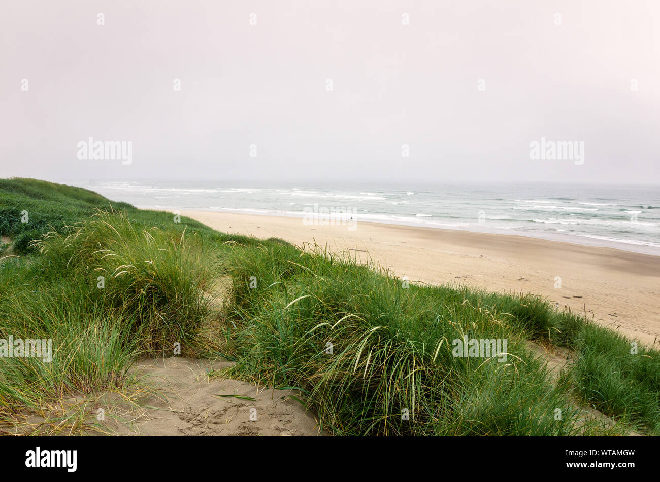 Beach and sand dunes along the coast of Oregon on a foggy summer day. People walking along the shore are visible in distance. Stock Photo