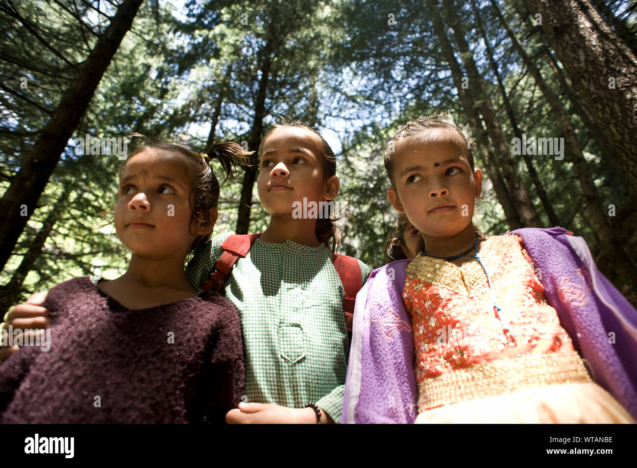 Student coming back home through Manali forests Stock Photo
