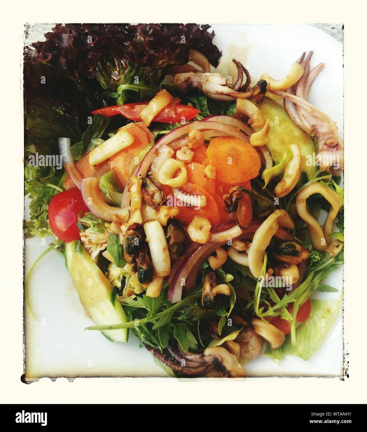 Vegetarian Food On Plate Stock Photo