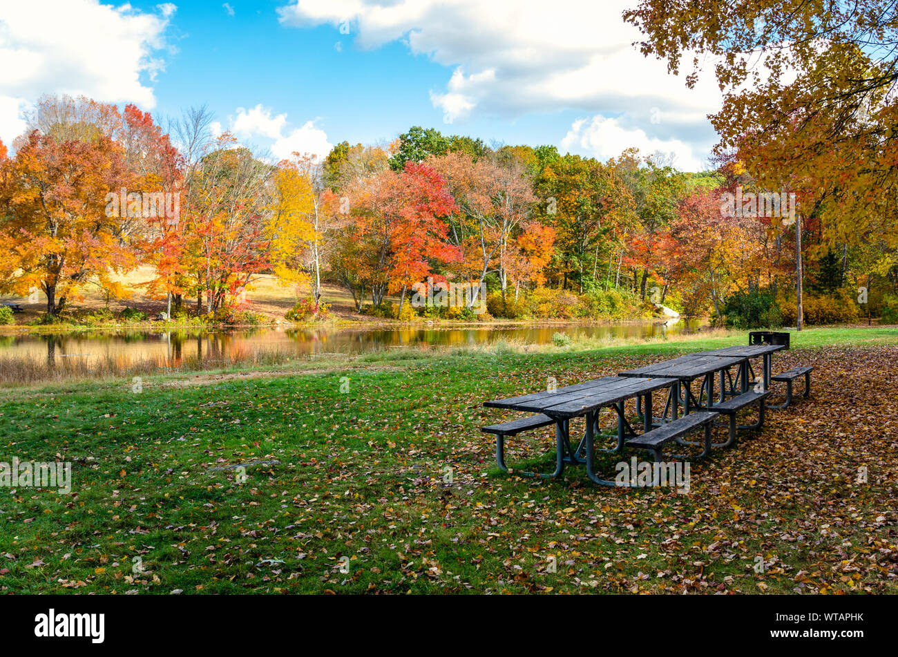 Wicnic tables and BBQ on a riverside meadow covered in fallen leaves on a sunny autumn day. Colourful trees line the river. Stock Photo