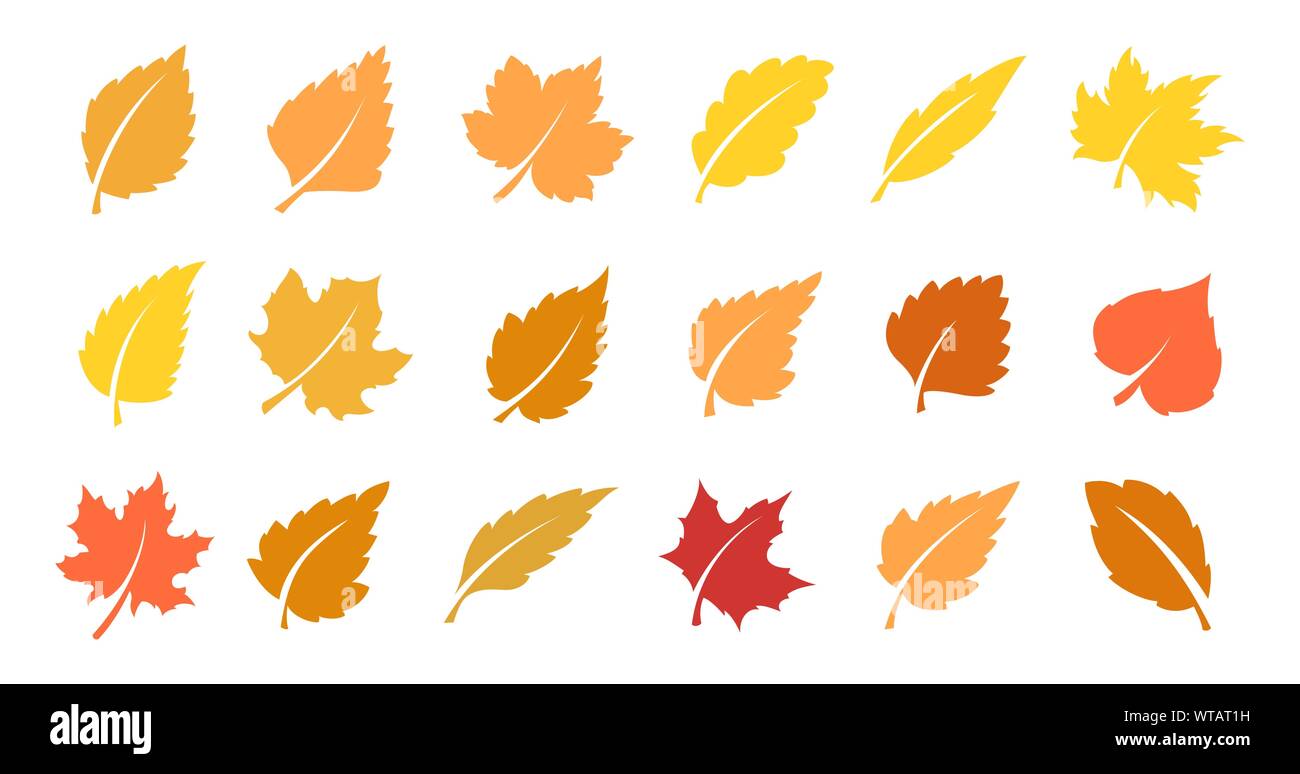 Autumn leaf set Stock Vector Image & Art - Alamy