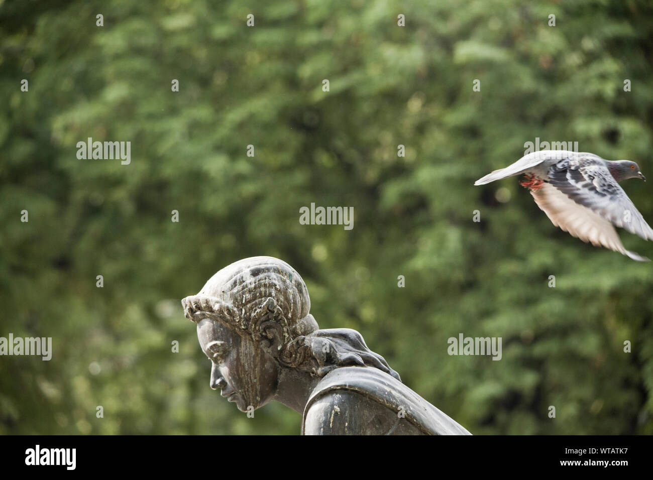 Pigeon flying above woman statue Stock Photo