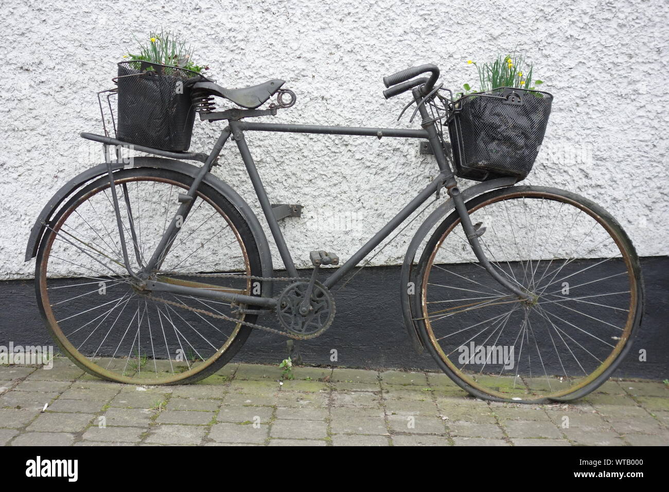 Altes Fahrrad an einer Hauswand zu einem Blumenbeet um funktioniert * Old bicycle on a house wall converted to a flowerbed on wheels Stock Photo