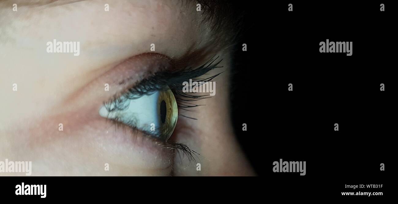 Close-up Of Eye Against Black Background Stock Photo