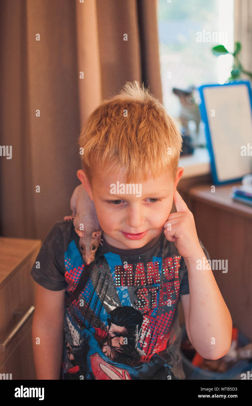 LOS ANGELES, CA, USA - AUGUST 28, 2019: A 5 year old child plays with a rat sphinx. A bald rat sits on a child s shoulder, illustrative editorial Stock Photo