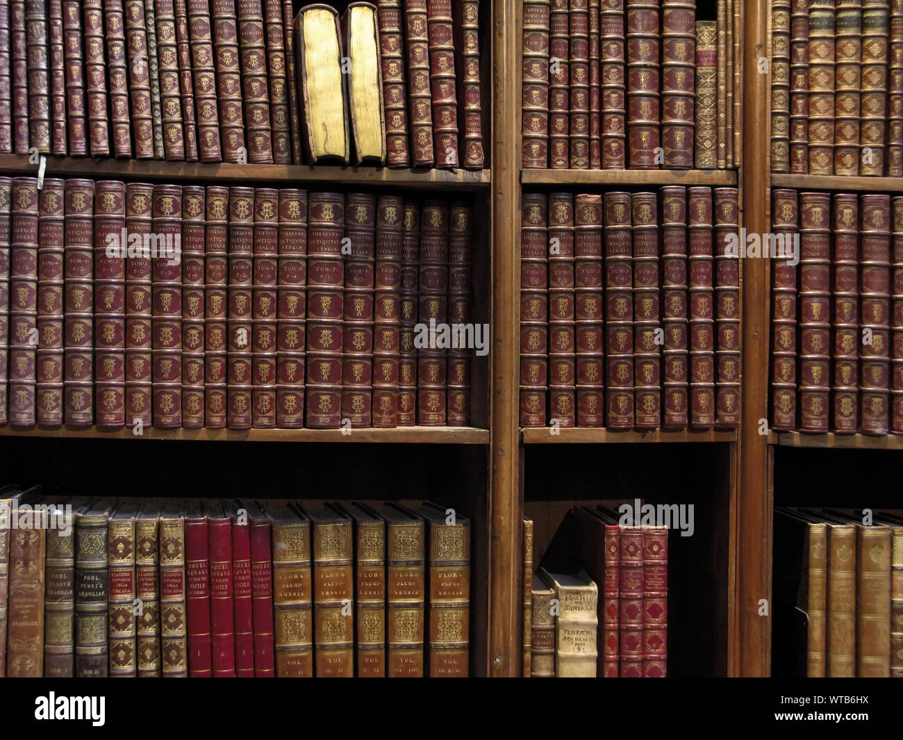 Old books inside The Austrian National Library, Vienna, Austria Stock