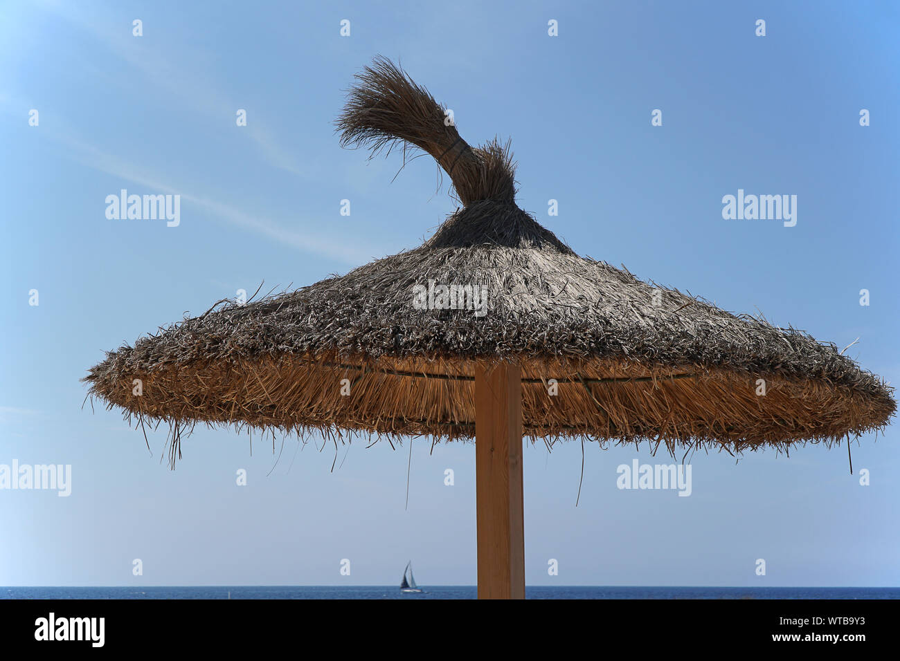 Sunset Island Background Royale High Wallpaper