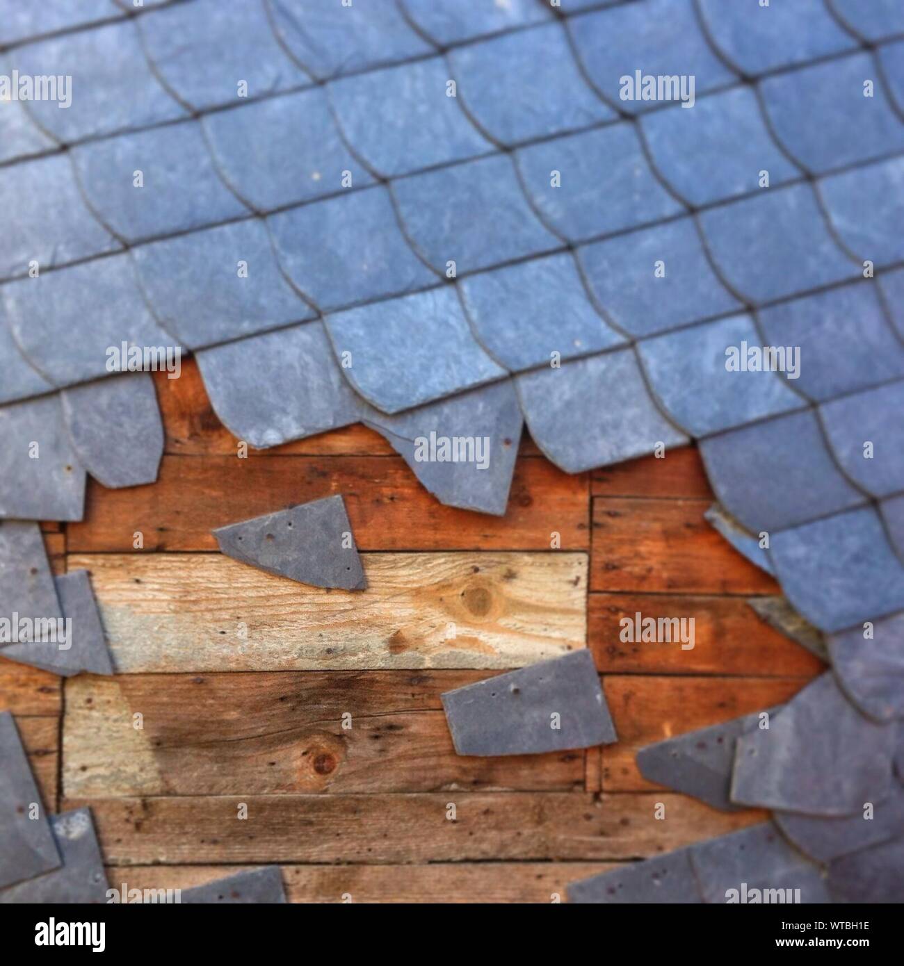 Breaking tiles hires stock photography and images Alamy