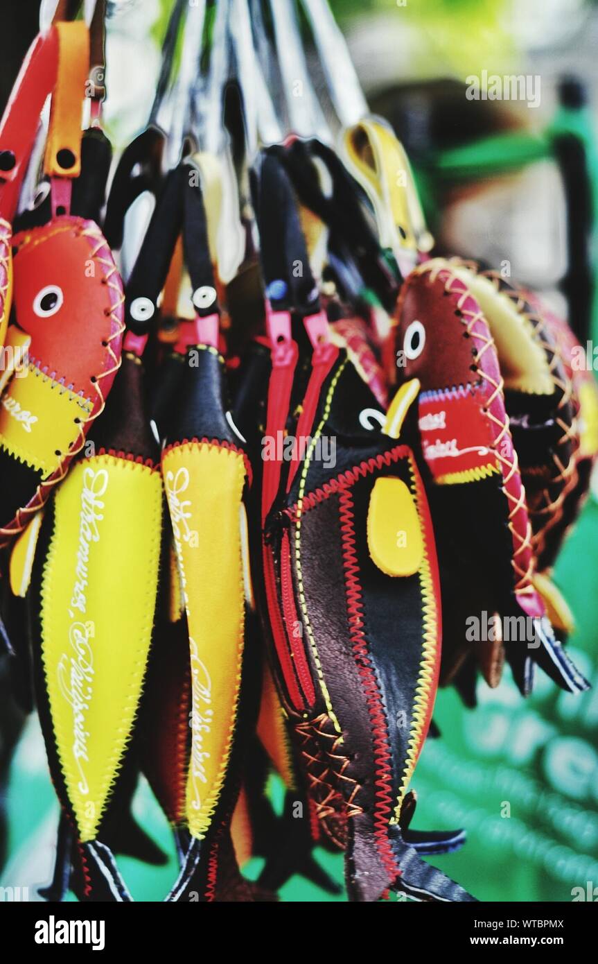Leather fish hires stock photography and images Alamy Leather fish hires stock photography and images Alamy