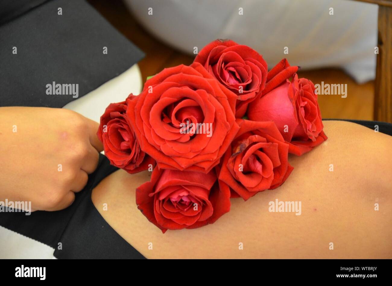 Red Roses On Person Lap At Home Stock Photo