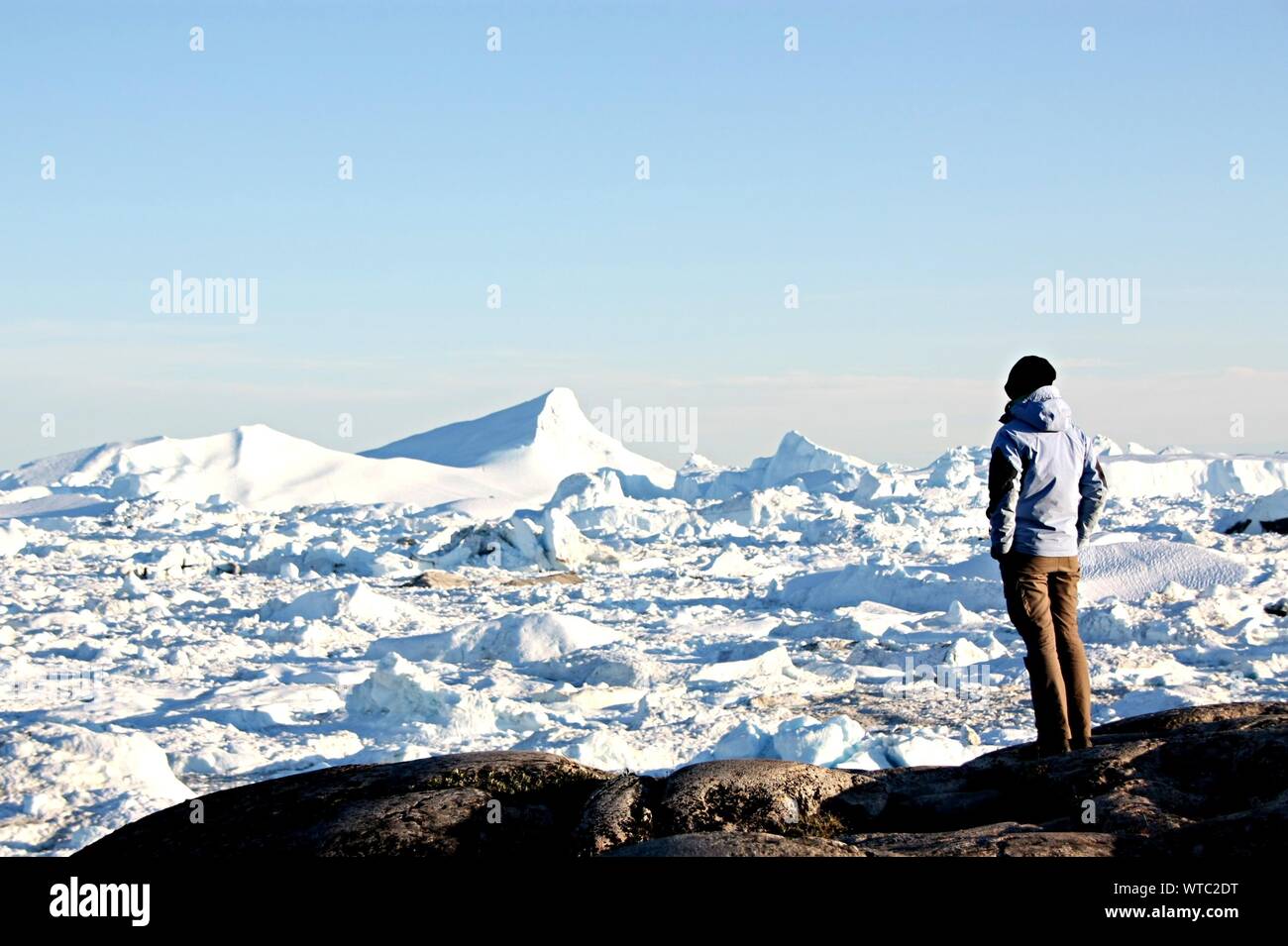 Lonely Tourist Looking At Arctic Landscape Stock Photo