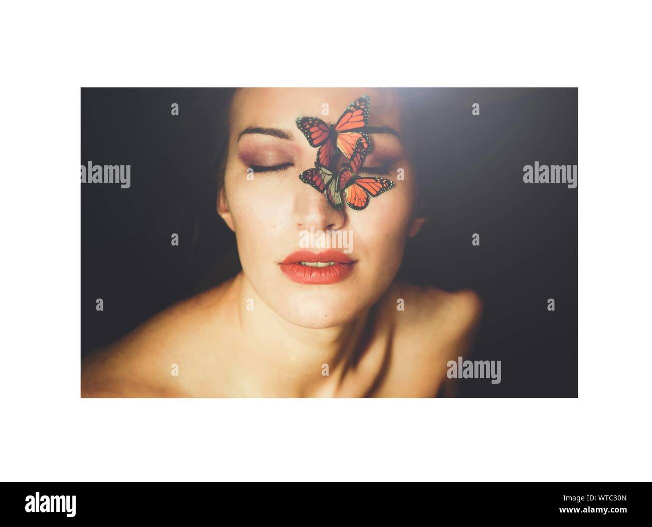 Close up butterfly face Cut Out Stock Images & Pictures Alamy
