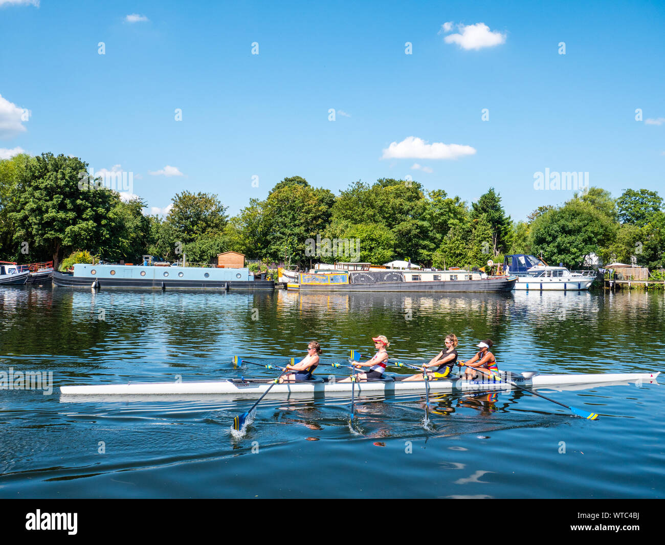 Girls Rowing, Laleham, Stains-upon-Thames, Surrey, England, UK, GB. Stock Photo