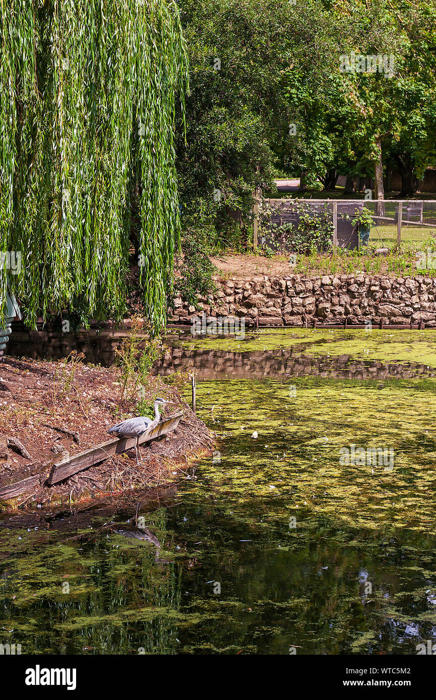 The Friars Aylesford Priory, Maidstone, Kent Stock Photo Alamy