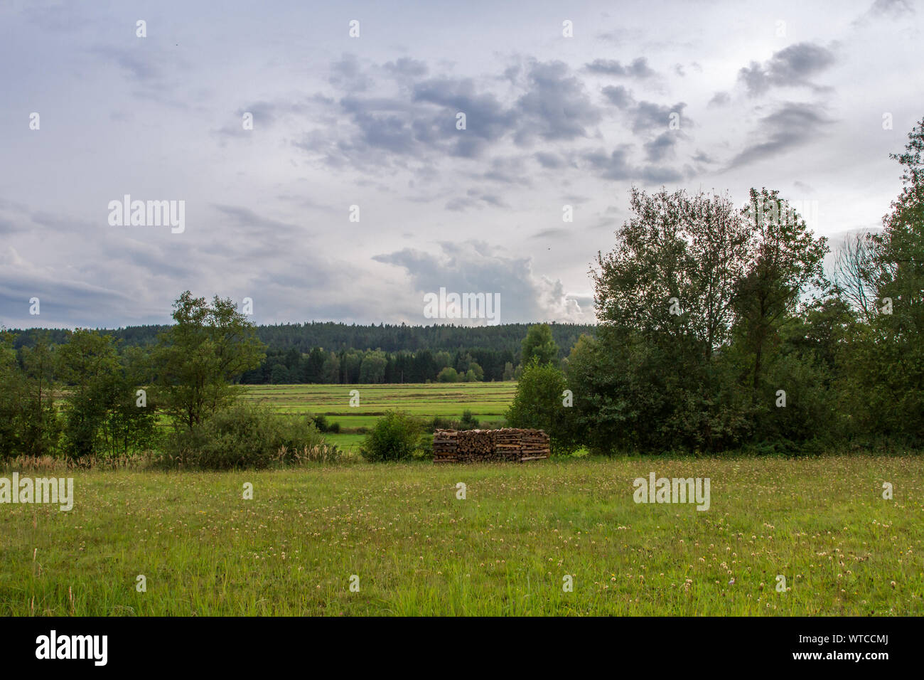 Wood stack on a meadow in the Waldviertel, Austria, on a summer day Stock Photo