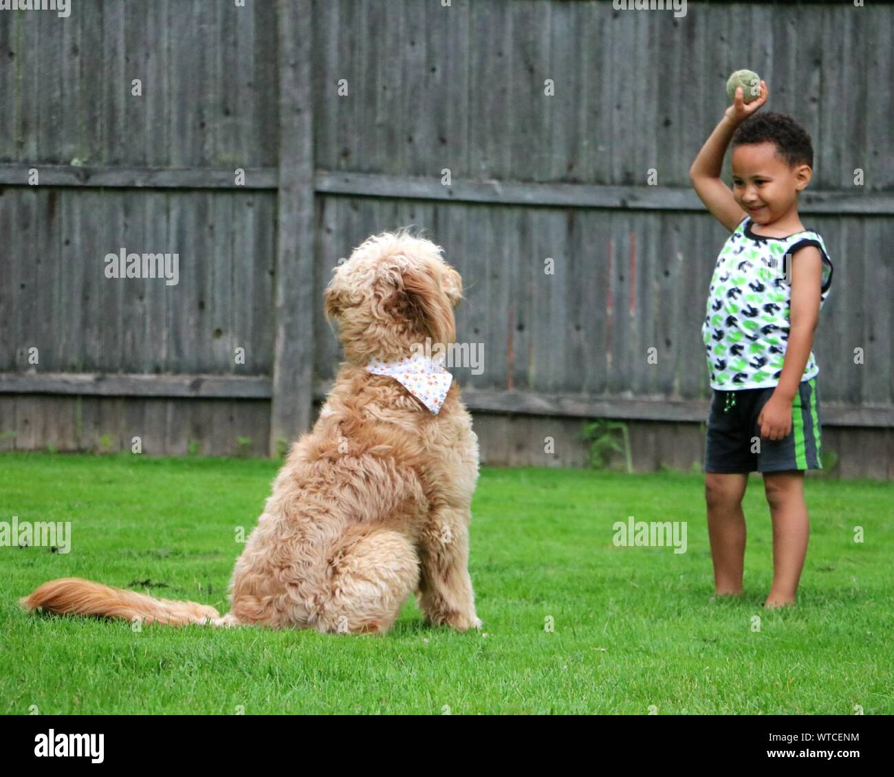 A Boy And His Dog Meaning