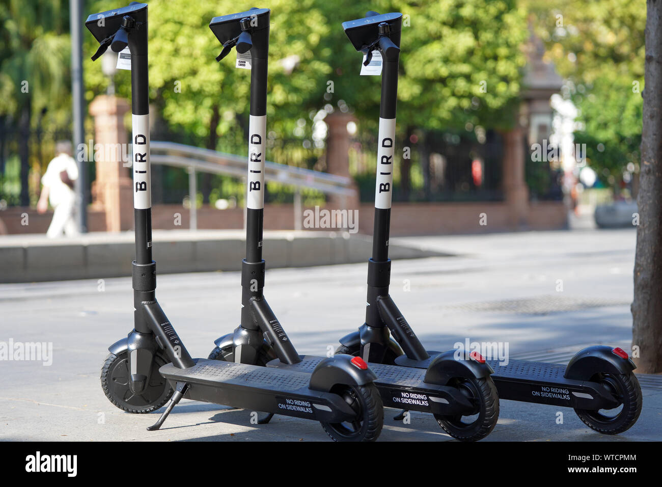 Pictures of an E-Scooter from the new  Provider BIRD in germany Stock Photo