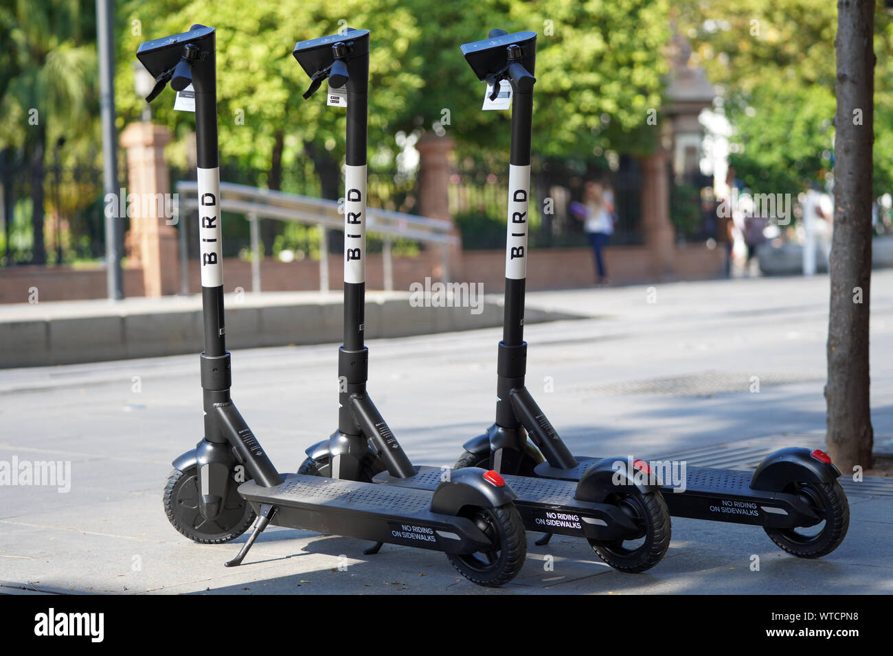 Pictures of an E-Scooter from the new  Provider BIRD in germany Stock Photo