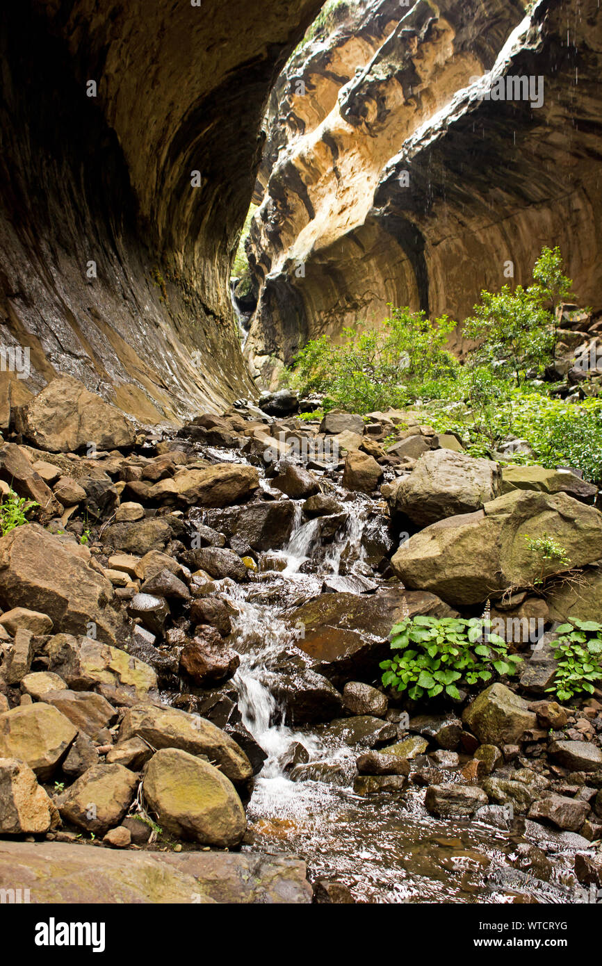 A small rapid in a seasonal stream in the Eco Ravine, a slot canyon in Clarens Sandstone, photographed in the Golden Gate National Park, South Africa Stock Photo