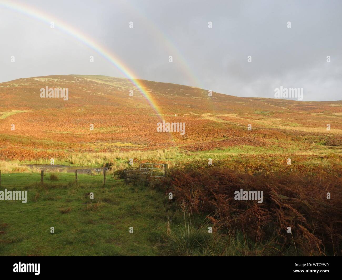 Rainbow grass hi-res stock photography and images - Alamy