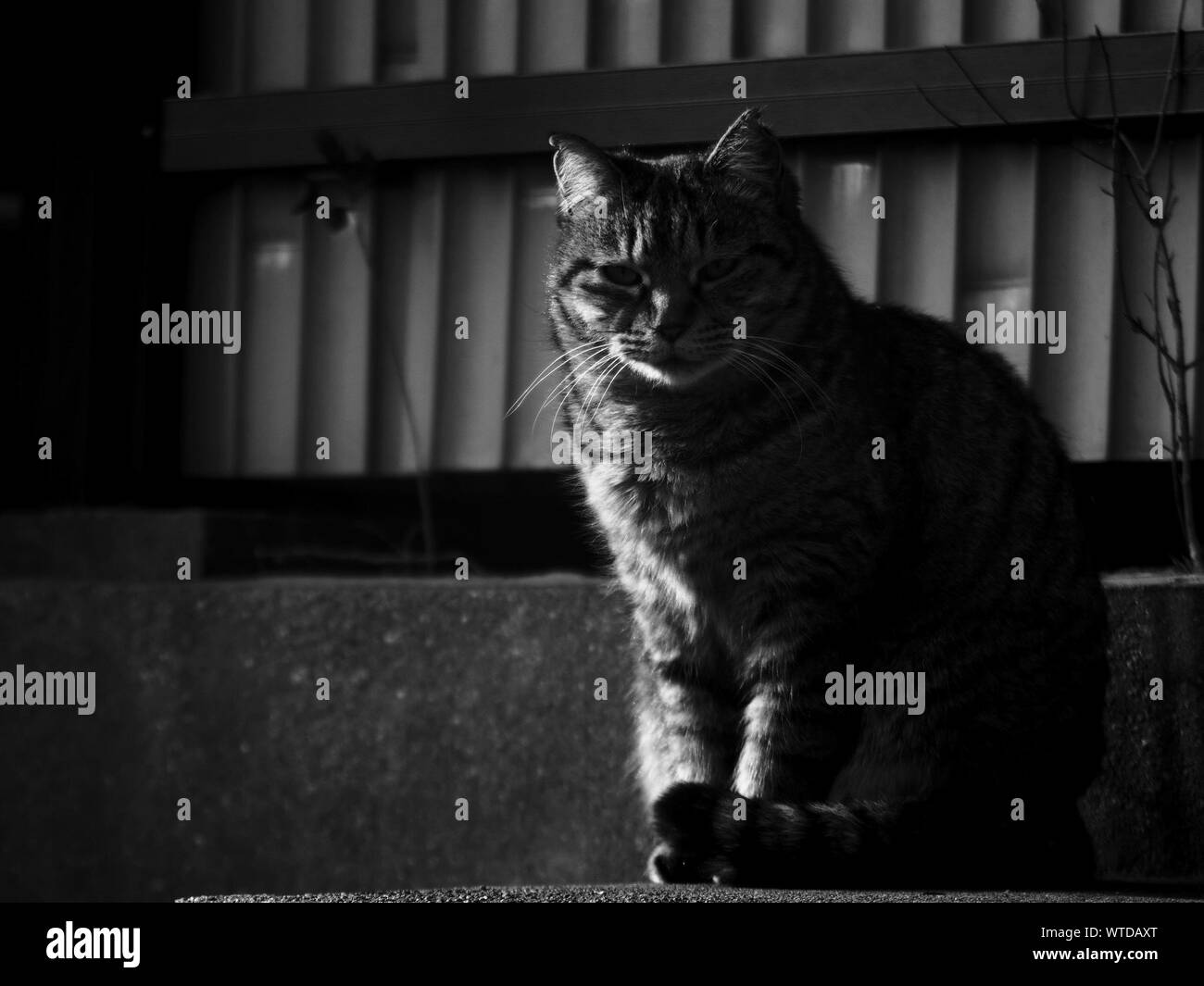 Sitting by door hires stock photography and images Alamy