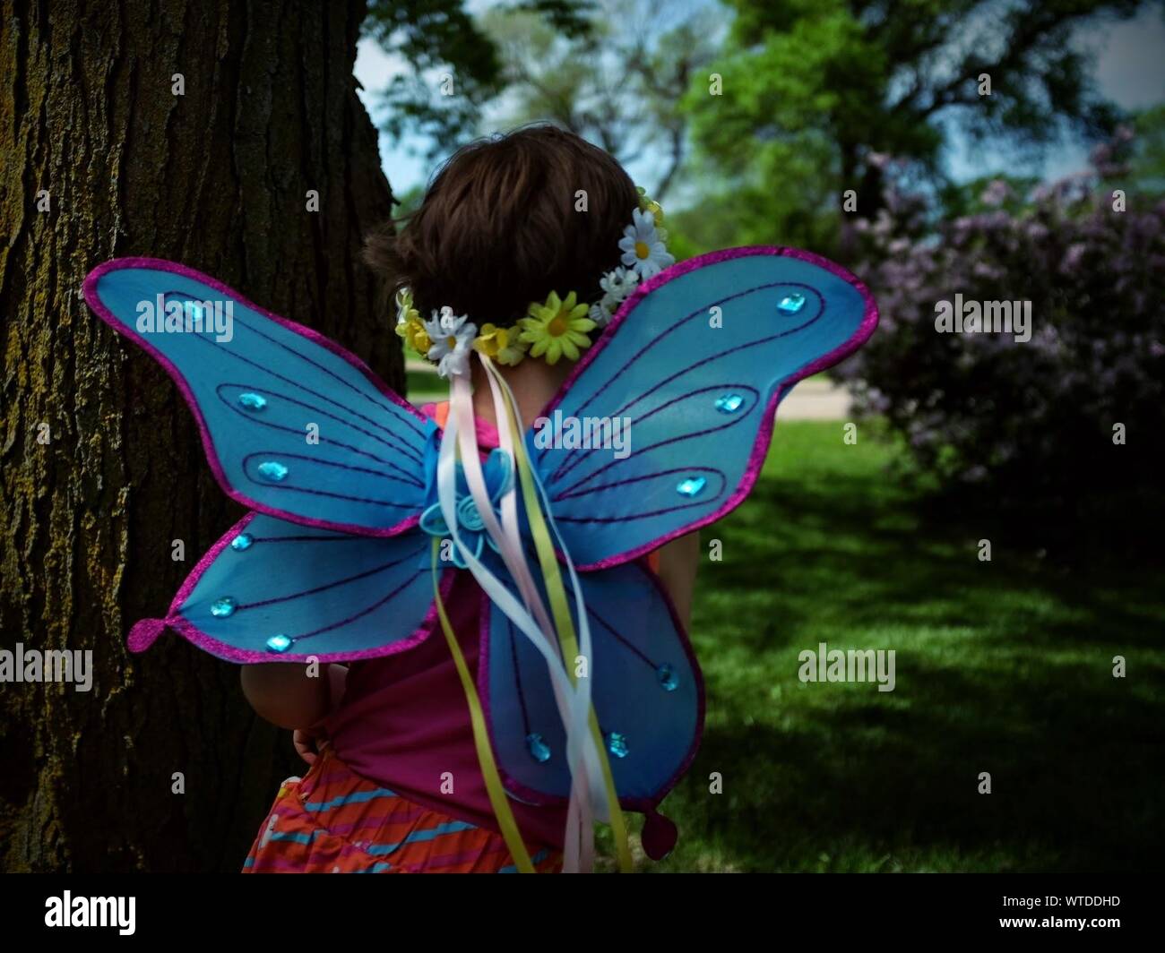 Rear View Of Girl Wearing Butterfly Costume By Tree Trunk Stock Photo