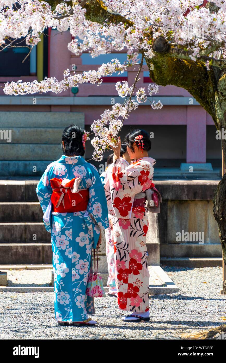 Japanese women with kimono at pagoda Amidado, Chion-in temple, Kyoto, Japan Stock Photo