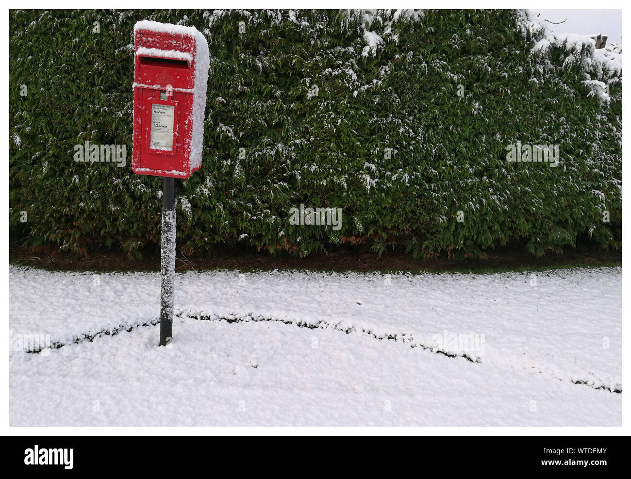 Frozen Red Mailbox Against Plants Stock Photo Alamy