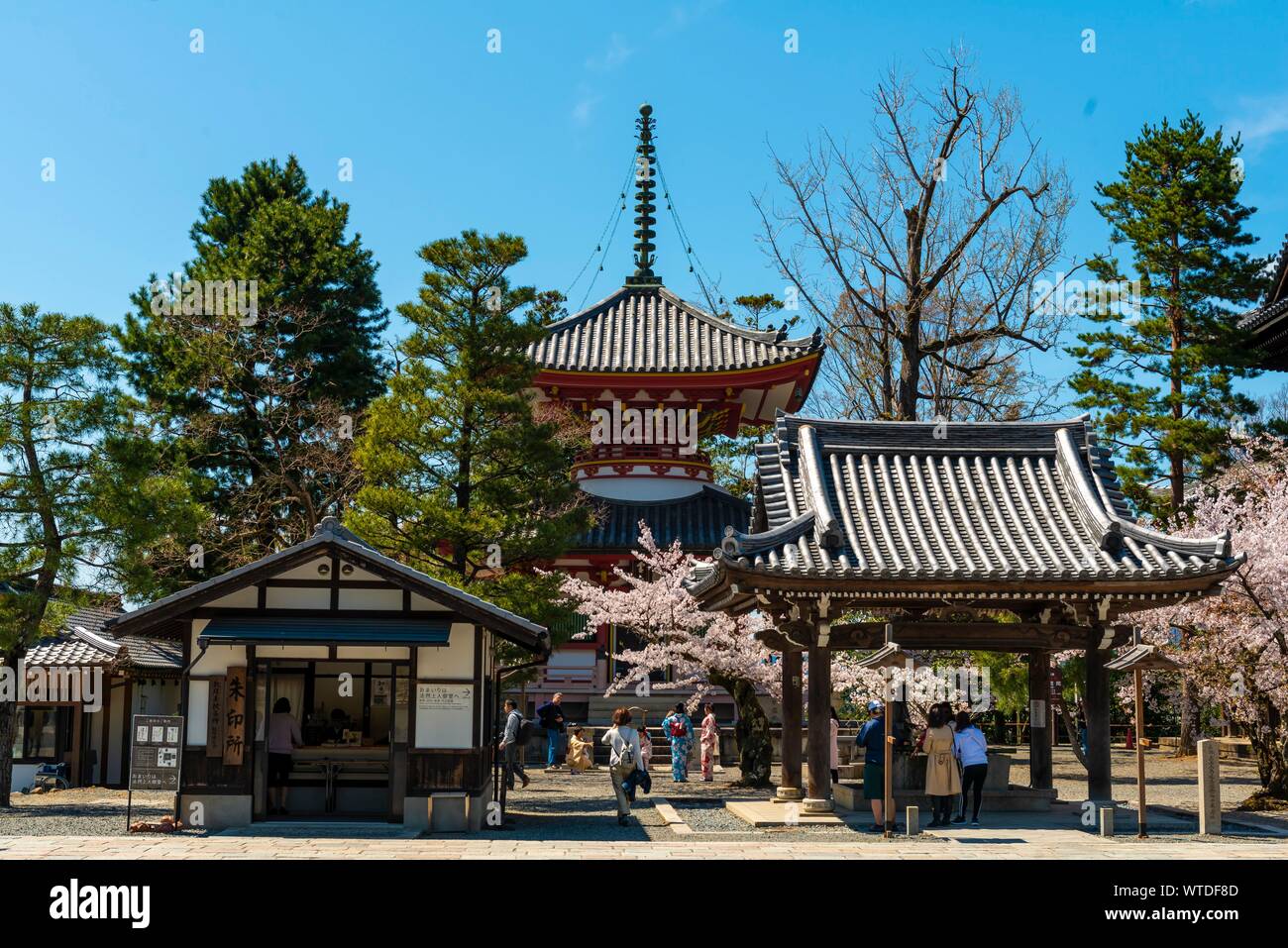 Pagoda Amidado, Chion-in Temple, Kyoto, Japan Stock Photo