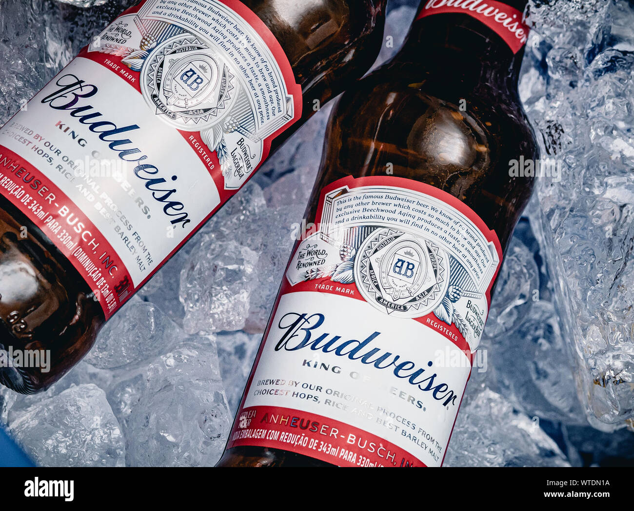 Brasilia, Federal District - Brazil. Circa 2019. Photograph of two Budweiser beer bottles in a cooler with ice. Stock Photo
