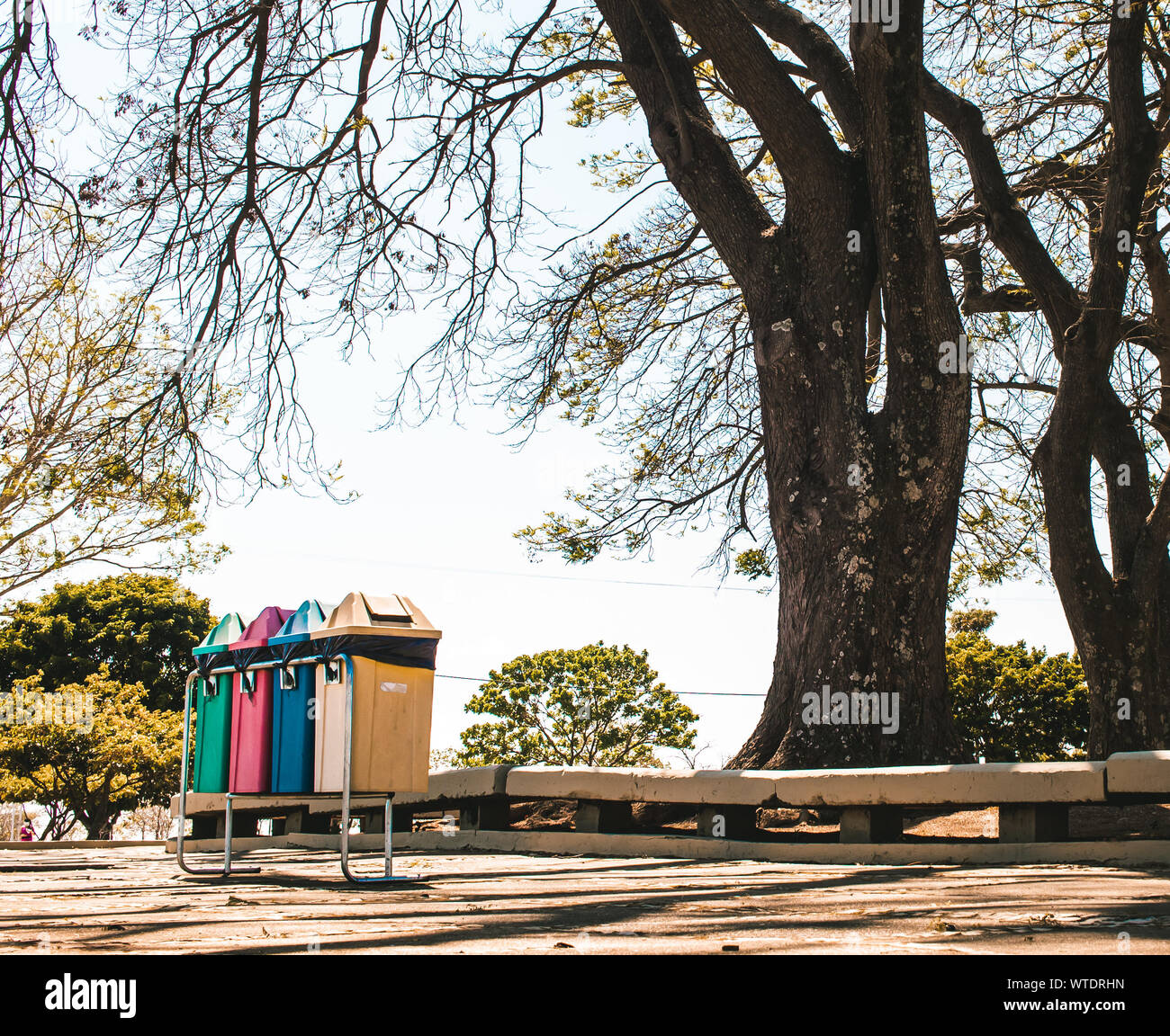 Photo of bins for selective collection in a square. Stock Photo