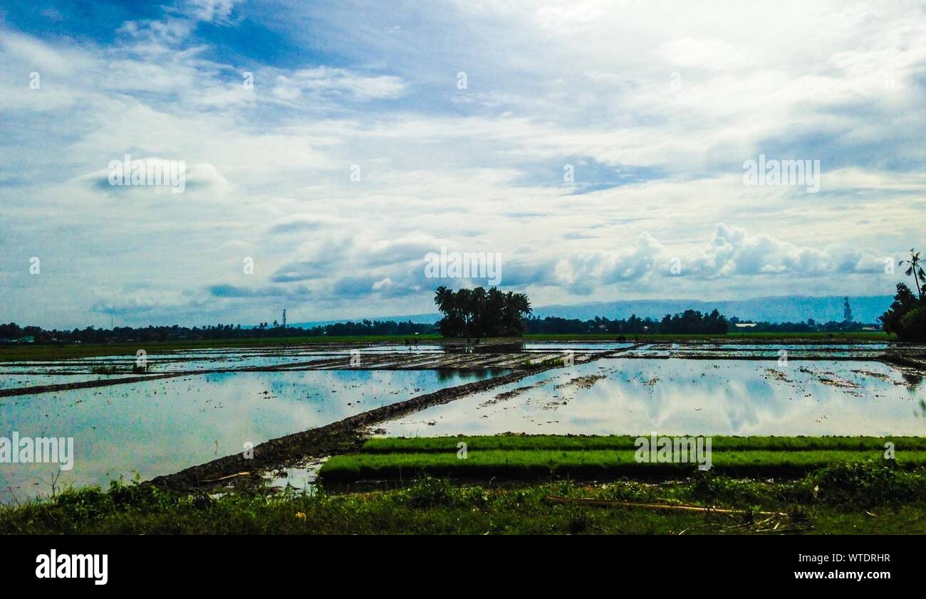 Cloudy sky reflected in water hi-res stock photography and images - Alamy