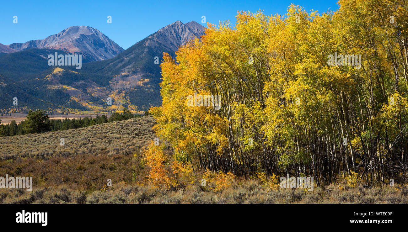 La Plata Peak, Rocky Mountains in Colorado, Independence Pass area