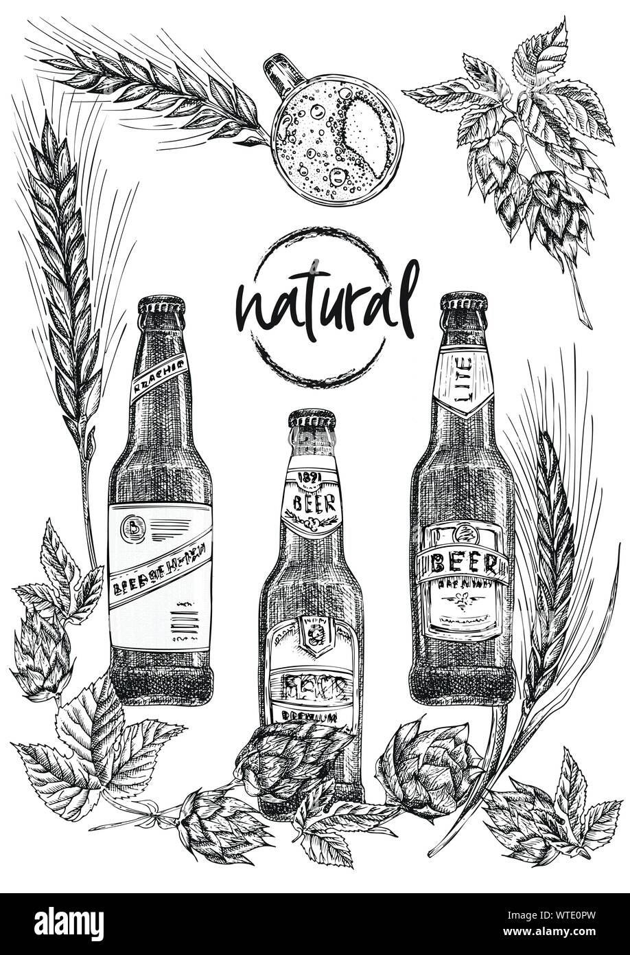 Set hand drawn sketch bottle and glasses beer, hop, wheat Vintage design bar, restaurant, cafe menu on white background. Graphic vector art Creative Stock Vector