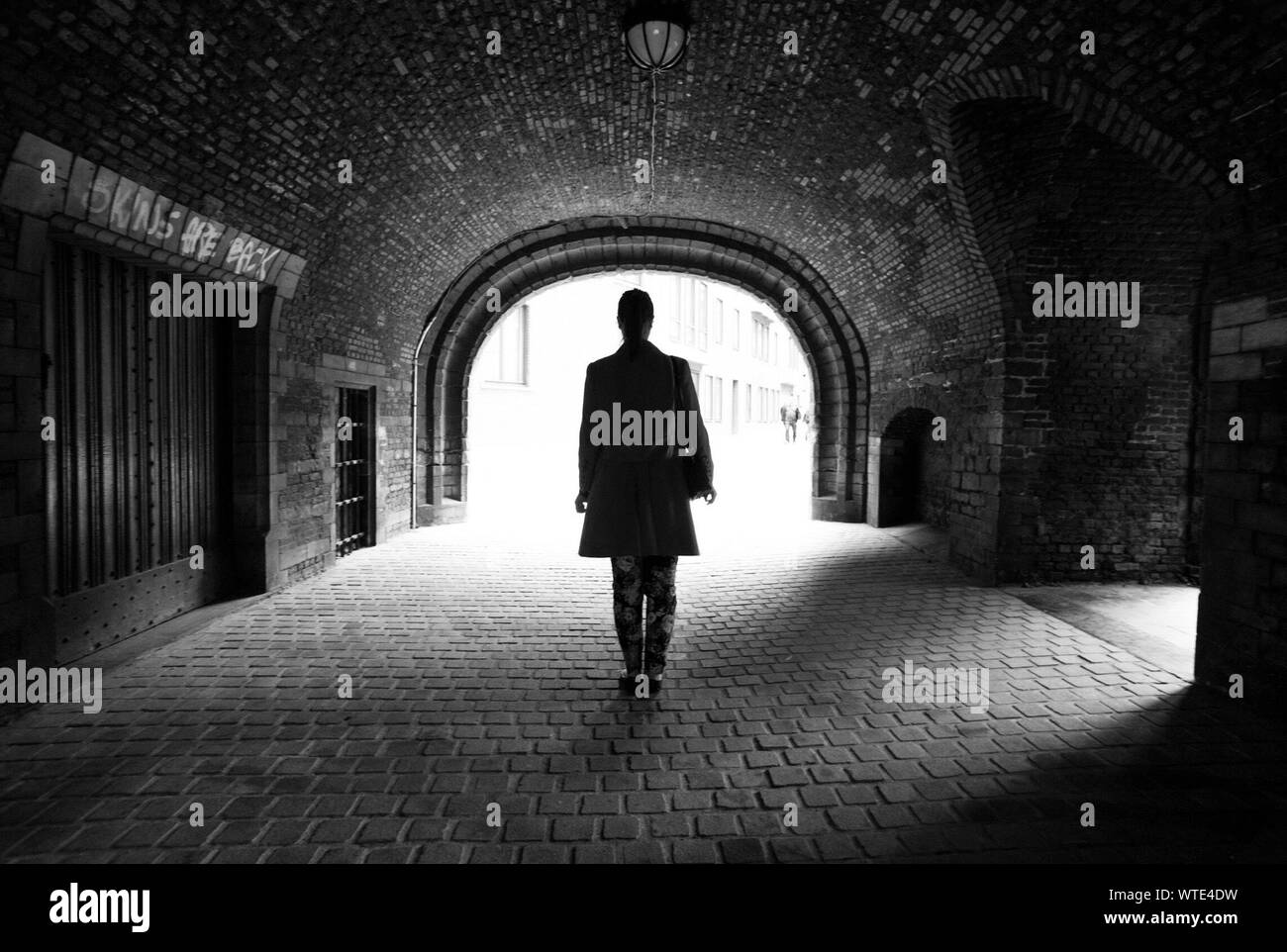 portrait-of-mysterious-woman-stock-photo-alamy