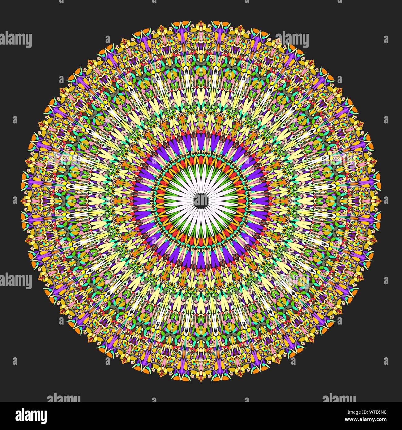 Floral mandala - abstract circular vector graphic design Stock Vector ...
