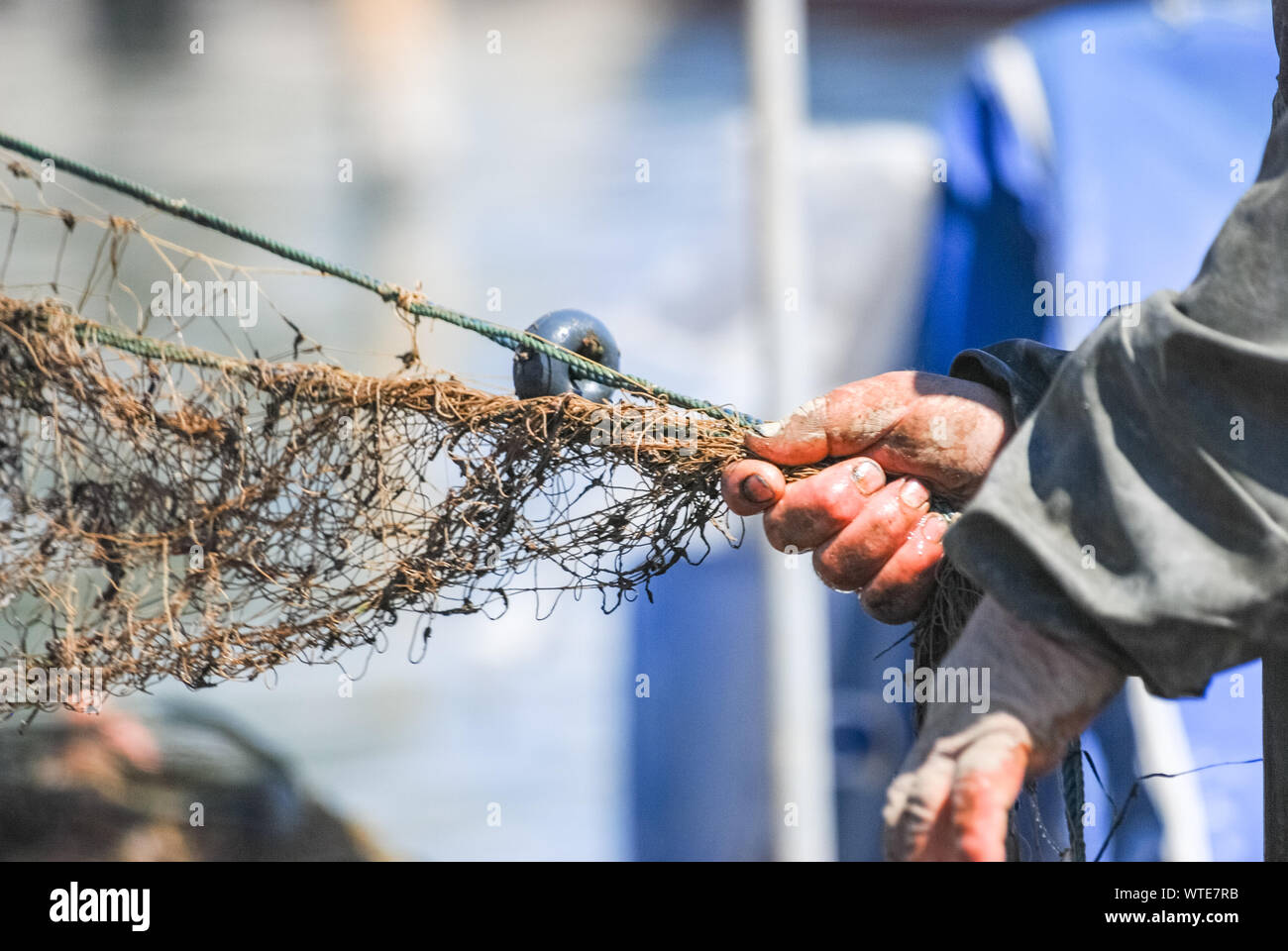 Close-Up hands of Fisherman Pulling The Fish Net. Selective focus. Stock Photo