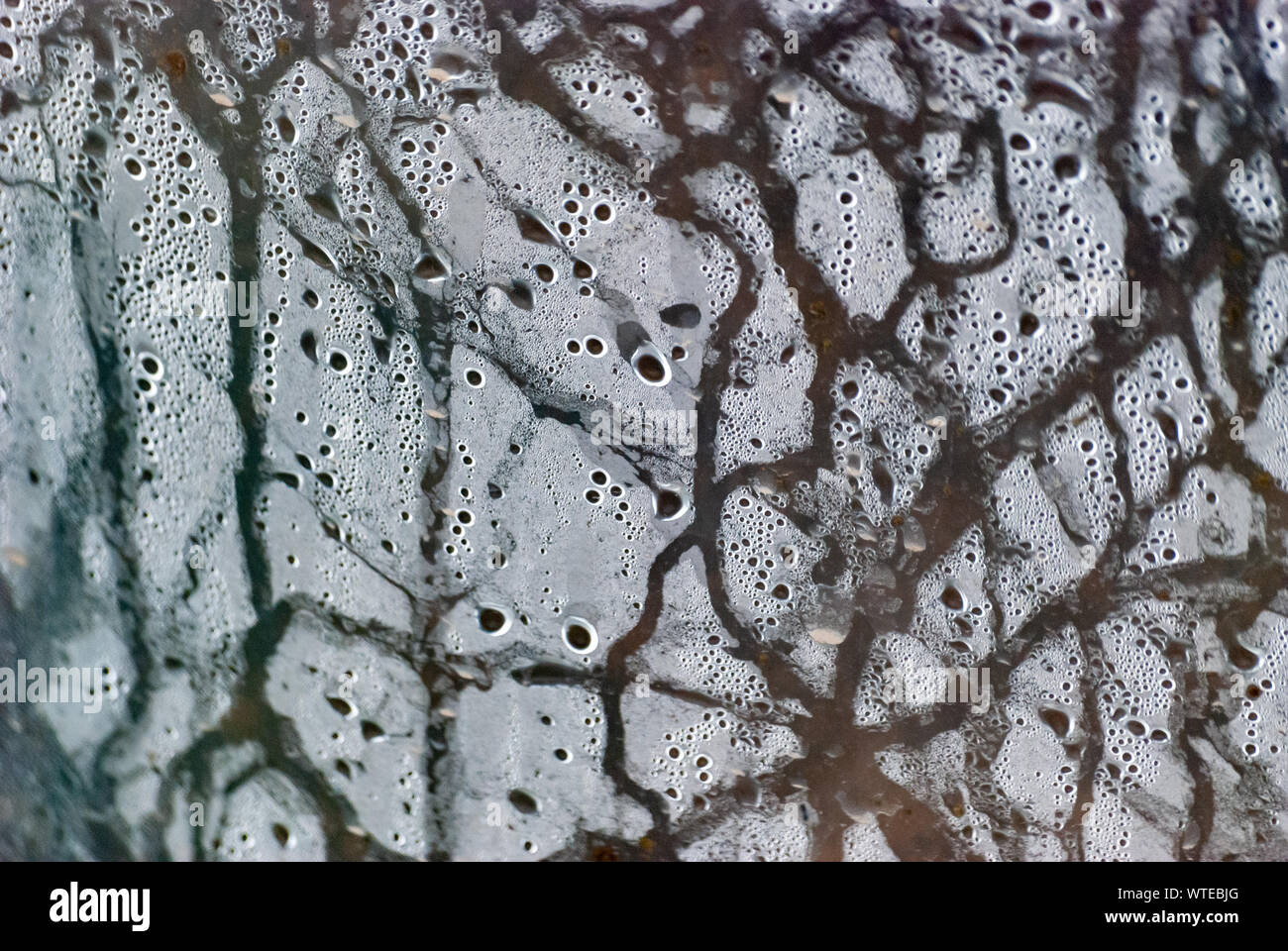 Background of humidity water drops macro from under the plastic material. Selective focus. Stock Photo