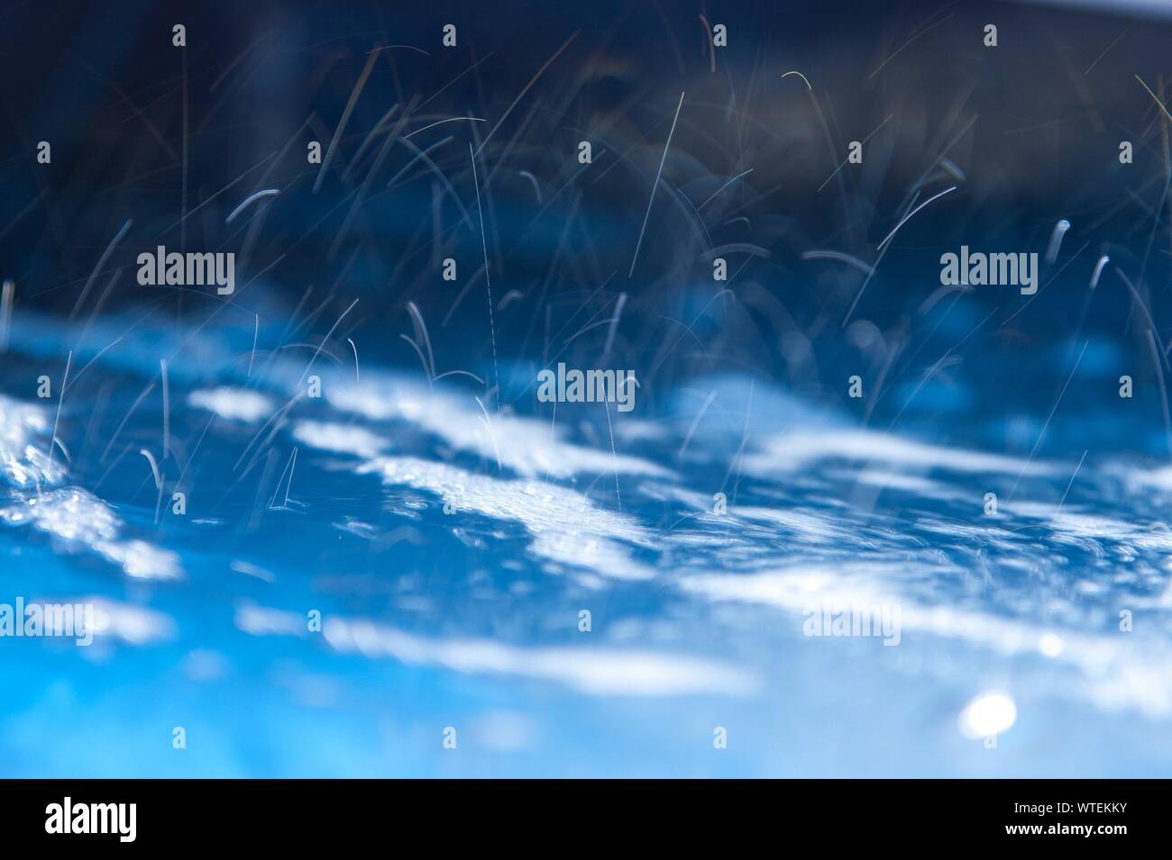 Water Falling Raining Rain falling on water hi-res stock photography and images - Alamy