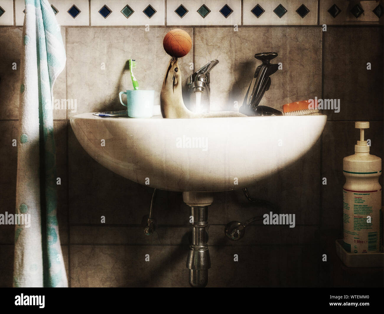 Image Montage Of Seal Playing With Basketball In Faucet In