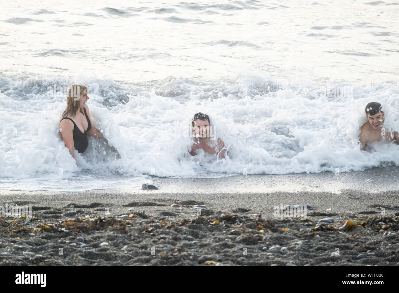 Aberystwyth Wales UK, Wednesday 11 September 2019  UK Weather: A group of young people enjoying an evening swim in the sea at Aberystwyth Wales, as the weather is forecast to turn slightly warmer, especially inthe south east, over the coming days.  Photo credit: Keith Morris / Alamy Live News Stock Photo