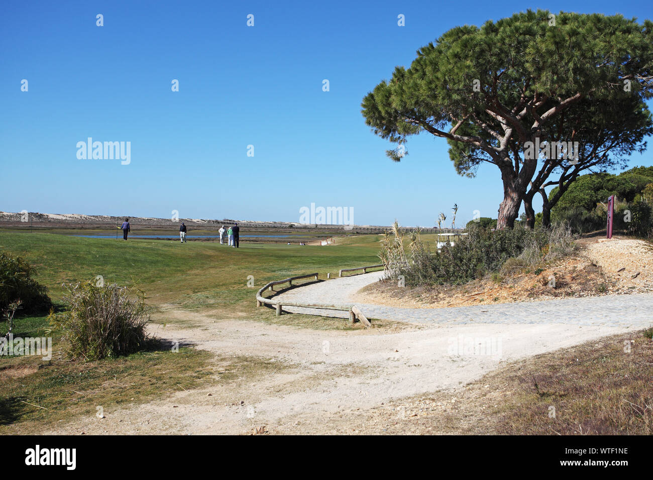 Stone pine Pinus pinea and part of the Quinta do Lago Golf Course Rio Formosa National Park Algarve Portugal Stock Photo