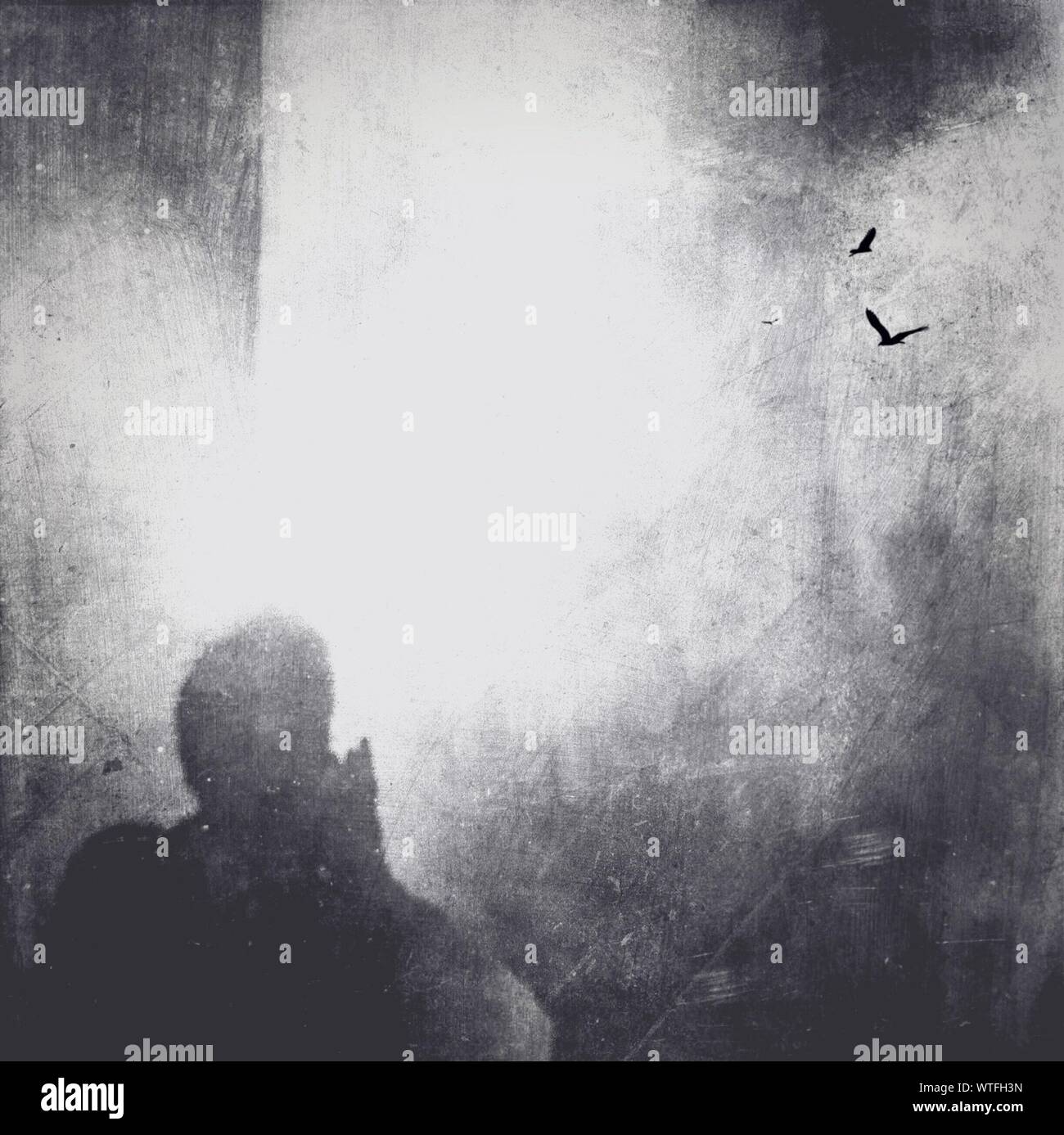 Double exposure wildlife hi-res stock photography and images - Alamy