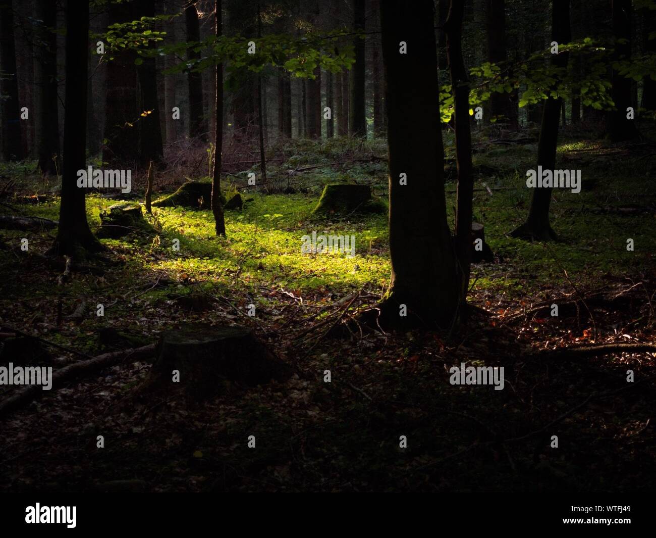 Sunlight in dark hi-res stock photography and images - Alamy