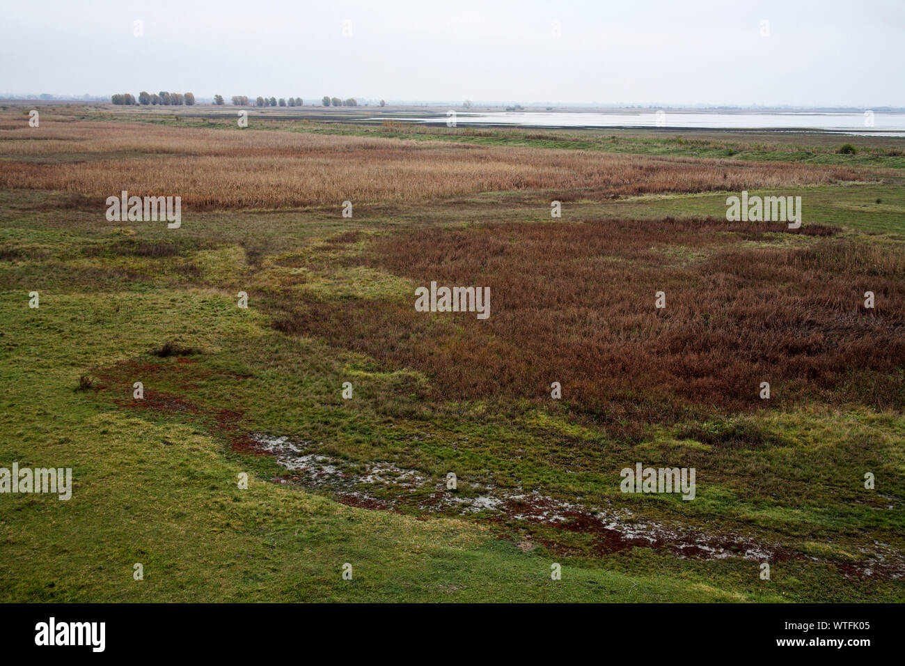 Kelemen szek hi-res stock photography and images - Alamy