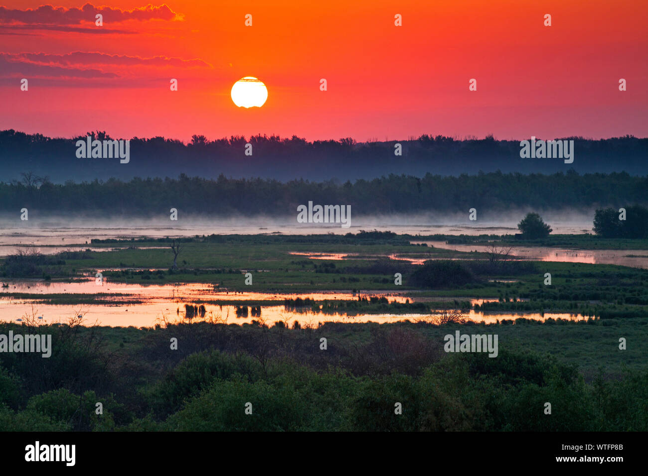 Tiszaalpar Marsh Kiskunsag National Park Hungary May 2014 Stock Photo
